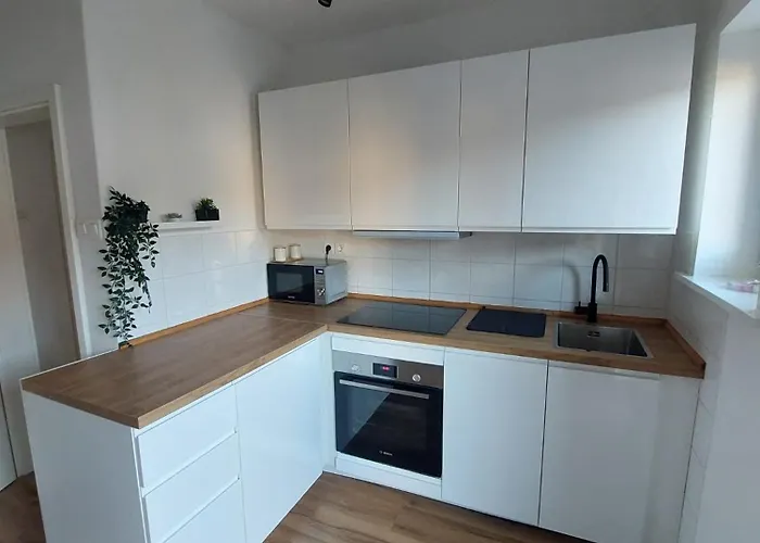 Moskriceva Apartamento Liubliana